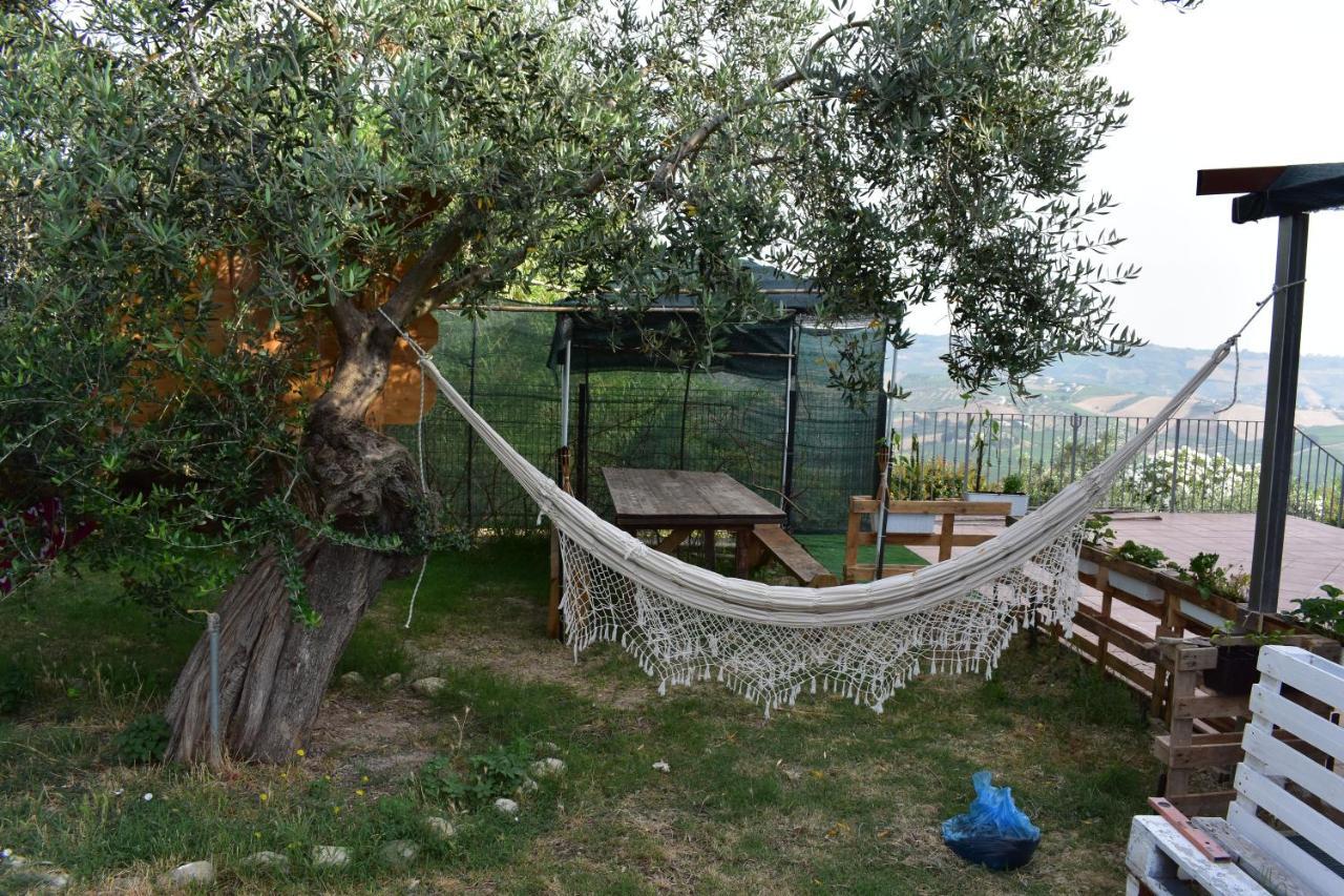La Villa In Campagna Citta Sant'Angelo Exterior photo